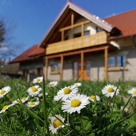 Wandertraum Johann - Fewo Eifel Kruft Buitenkant foto