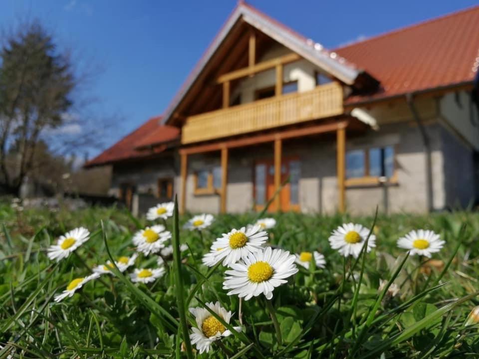 Wandertraum Johann - Fewo Eifel Kruft Buitenkant foto